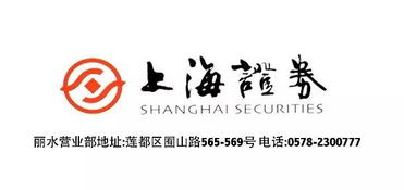 上海證券麗水營業(yè)部開業(yè)盛典，投資控股引領(lǐng)財(cái)富未來